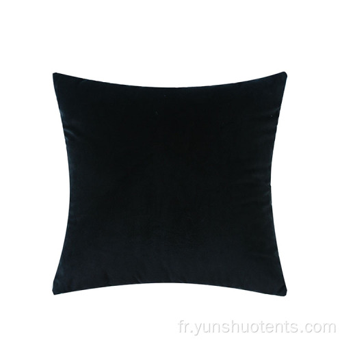 Coussin de canapé d&#39;intérieur en velours d&#39;oreiller de photographie